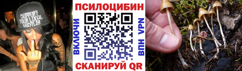 Галлюциногенные грибы MAGIC MUSHROOMS  Саянск 